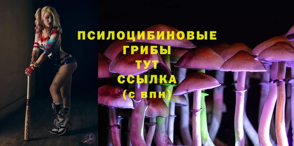кристаллы Няндома