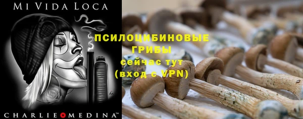 кристаллы Няндома