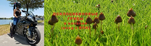 мяу мяу кристалл Нягань