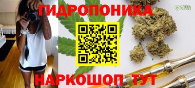 ALPHA PVP Беслан