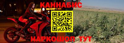 эйфоретик Аргун