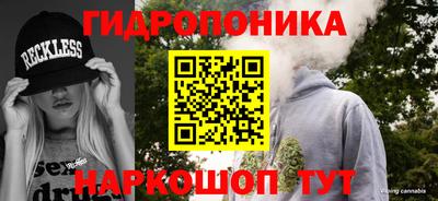 гидра Бийск