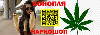 гидра Бийск