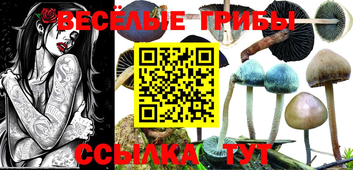 Галлюциногенные грибы прущие грибы  Псилоцибиновые грибы Cubensis  Челябинск 