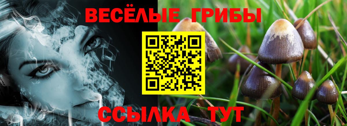 Галлюциногенные грибы ЛСД  Вход с VPN  Челябинск 